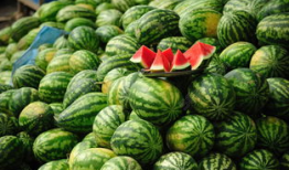 维族网红吃瓜视频下载,揭秘新疆美食与风土人情