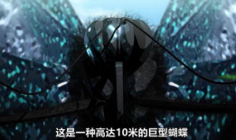 巨虫列岛漫画全集,奇幻冒险之旅，探寻神秘昆虫世界的奥秘